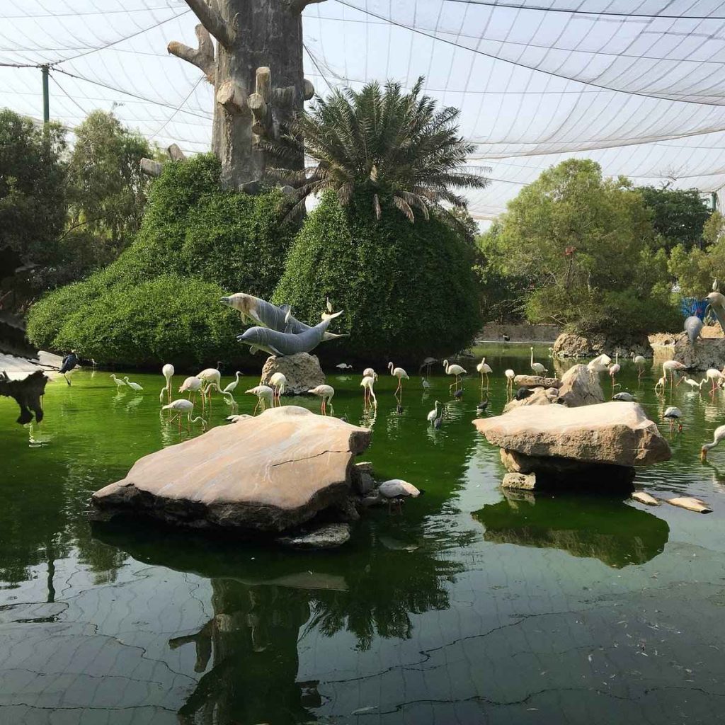 تور کیش و راهنمای جامع سفر